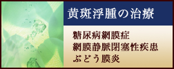 黄斑浮腫の治療(糖尿病網膜症・網膜静脈閉塞性疾患・ぶどう膜炎)