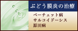 ぶどう膜炎の治療(ベーチェット病・サルコイドーシス・原田病)