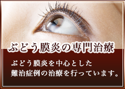 ぶどう膜炎の専門治療
